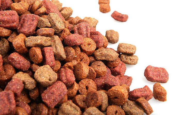  Dog Food Extruder Processing Machine